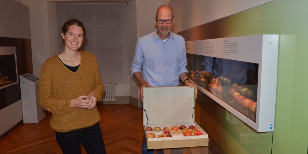 Nur einer der Äpfel im Koffer ist echt, aber welcher? Museumsgestalterin Eliane Huber und Museumsleiter Hannes Geisser in der neuen Ausstellung im Naturmuseum Thurgau.