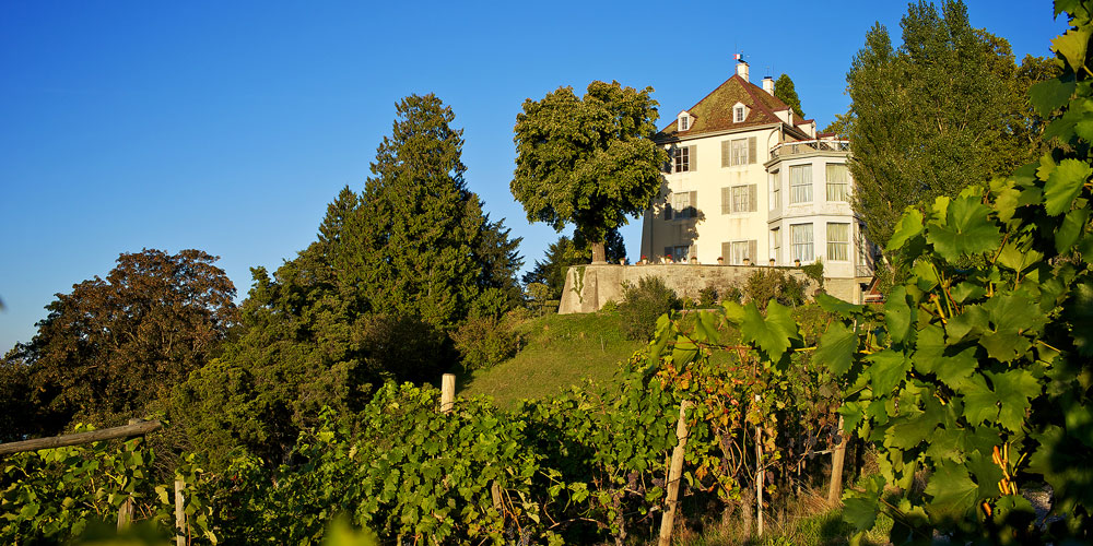 Schloss Arenenberg im Herbst.
