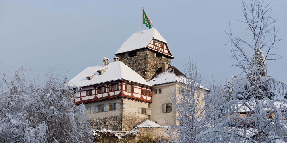 verschneites Schloss Frauenfeld