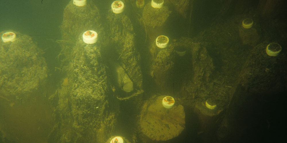 Unterwasser-Situation von 1991