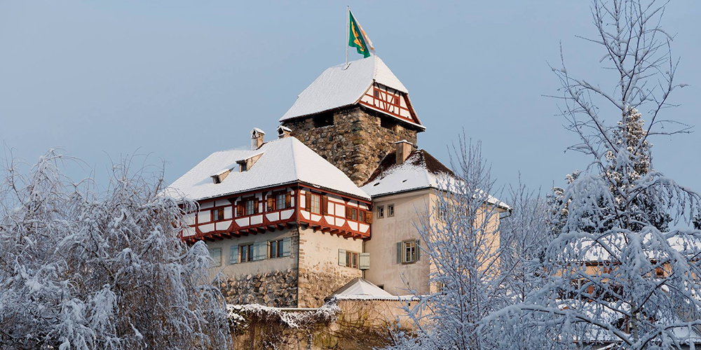 Schloss Frauenfeld im Schnee