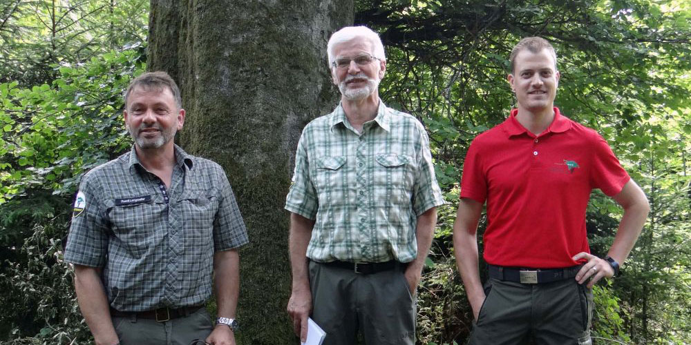 Ruedi Lengweiler und Gerold Schwager vom Forstamt und Revierförster Stefan Bottlang (v.l.n.r.) informierten über die neue Schutzmöglichkeit für grosse, alte Waldbäume.